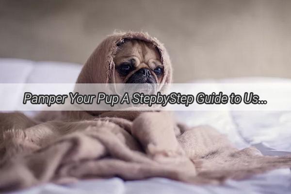 Pamper Your Pup A StepbyStep Guide to Using an Inflatable Dog Bathing Basin